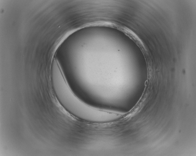 X0000076270860200610122253