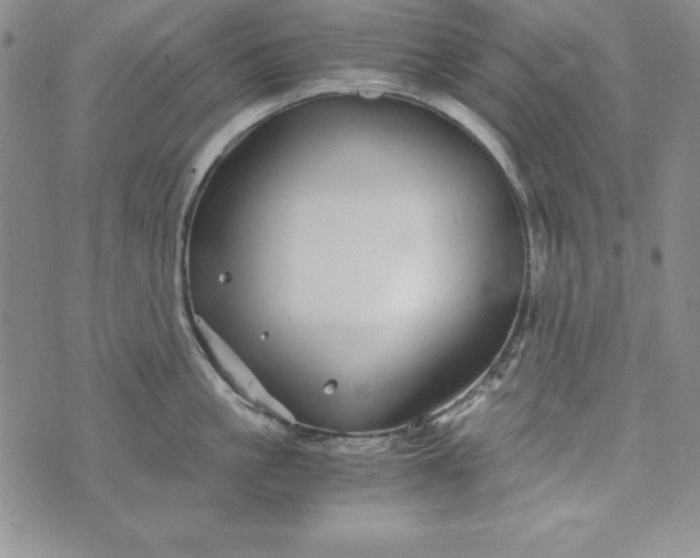 X0000076270861200610122253