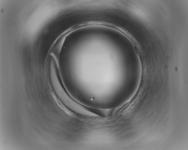 X0000076270862200610122253