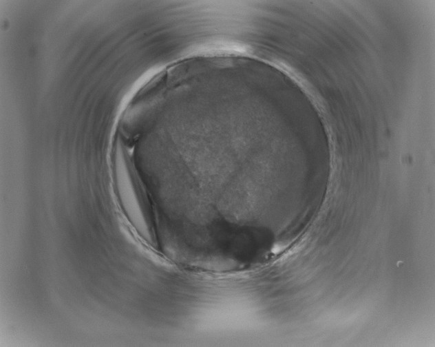 X0000076270864200610122253