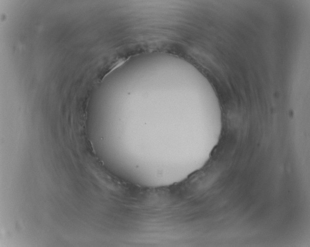 X0000076270865200610122253