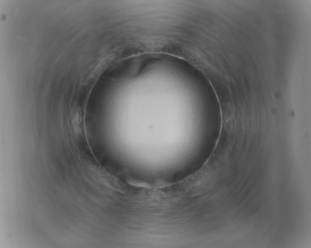 X0000076270866200610122253