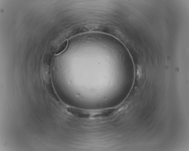 X0000076270867200610122253