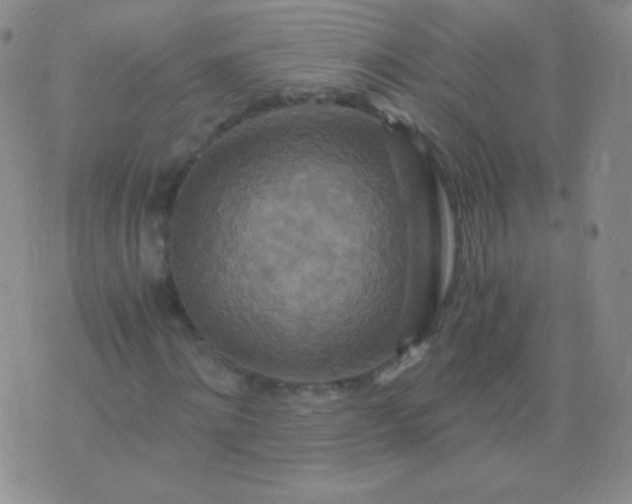 X0000076270868200610122253