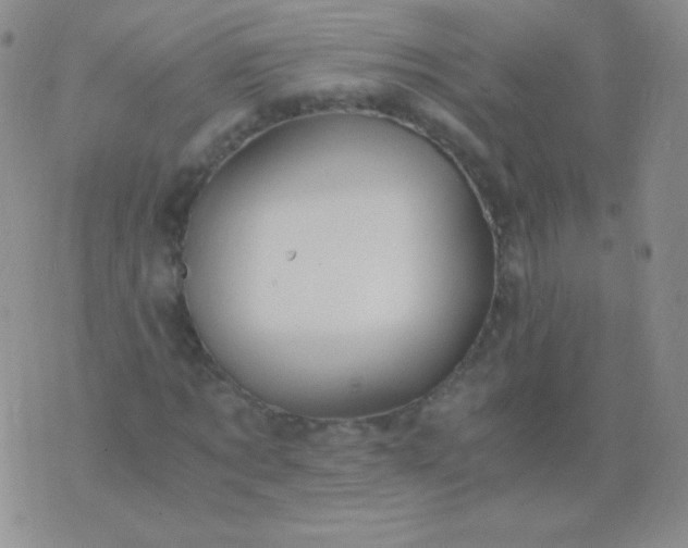 X0000076270869200610122253