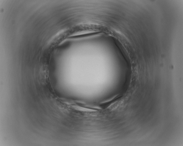 X0000076270870200610122252