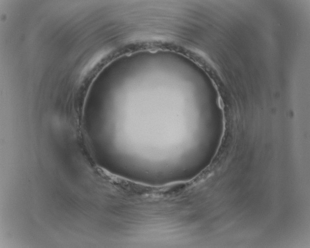 X0000076270871200610122252