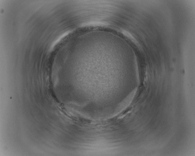 X0000076270872200610122252