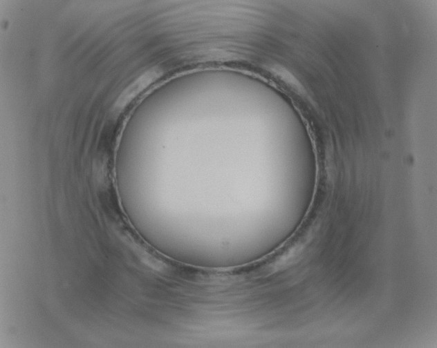 X0000076270873200610122252