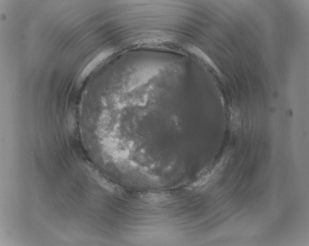 X0000076270874200610122252