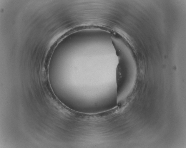 X0000076270876200610122252