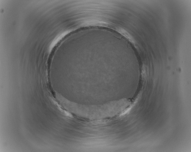 X0000076270877200610122252