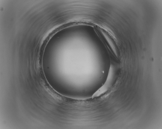 X0000076270880200610122252