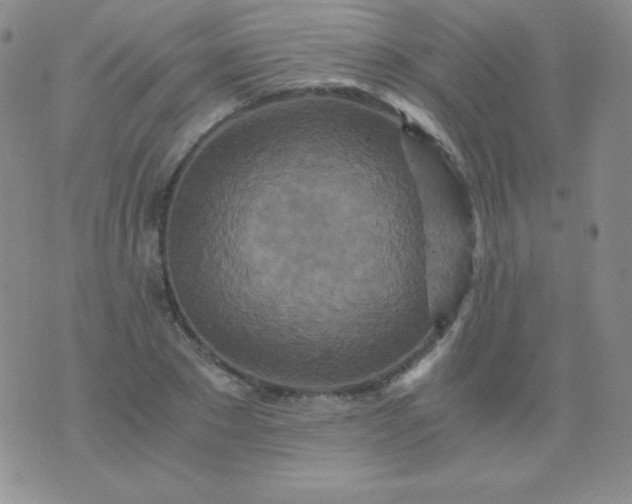 X0000076270881200610122252