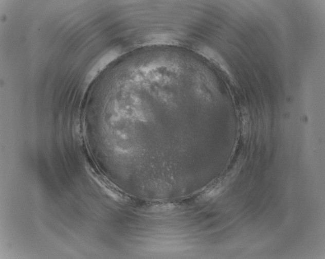 X0000076270882200610122252