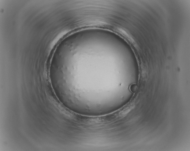 X0000076270883200610122252