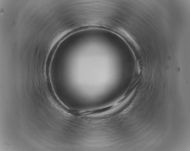 X0000076270884200610122252