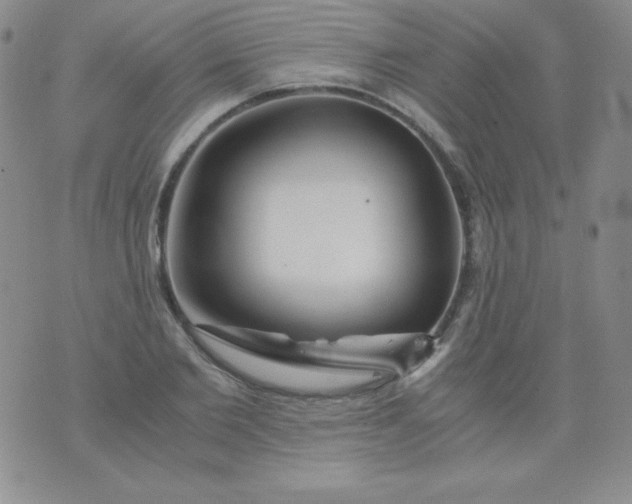 X0000076270885200610122252