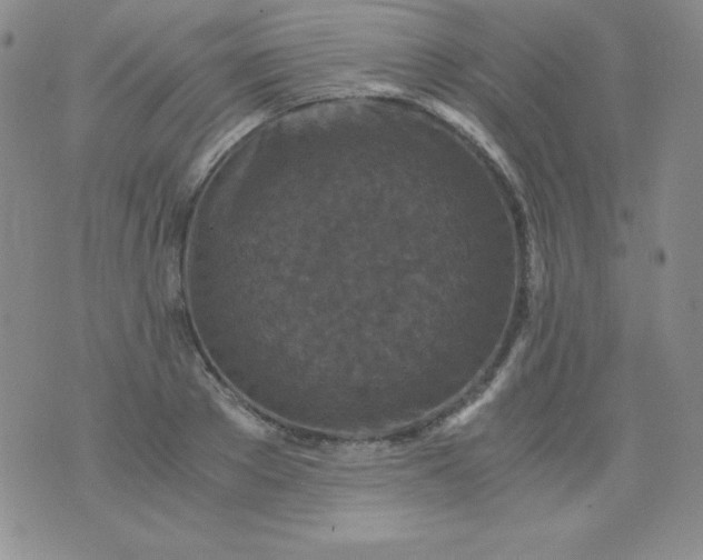 X0000076270889200610122252