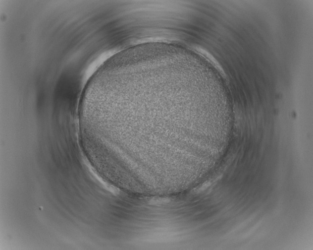 X0000076270890200610122252