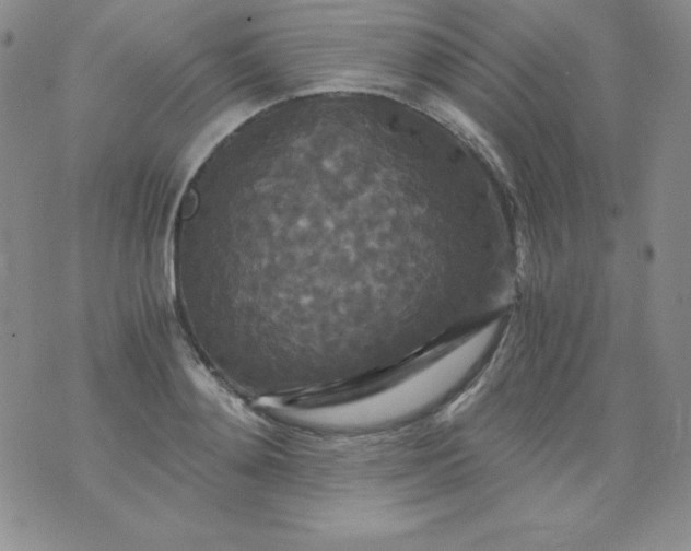 X0000076270892200610122252