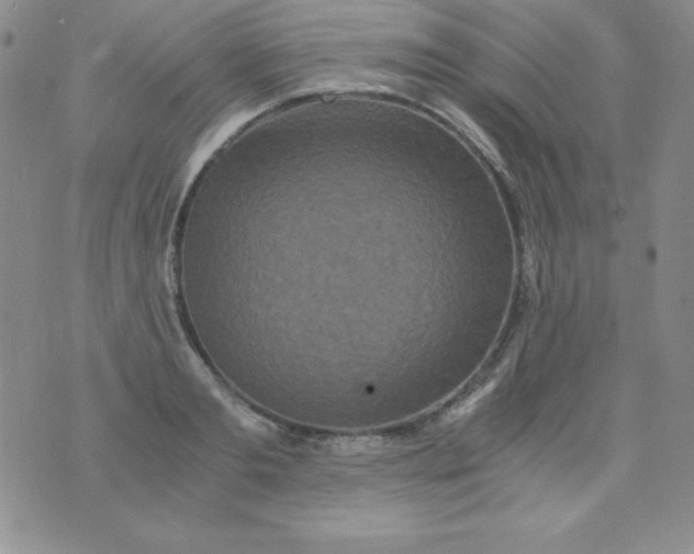 X0000076270893200610122252