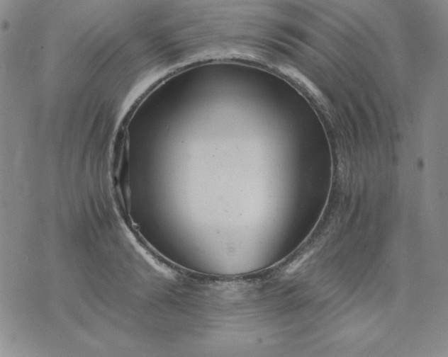 X0000076270894200610122252