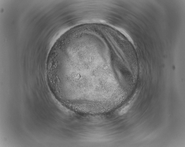 X0000076270895200610122252