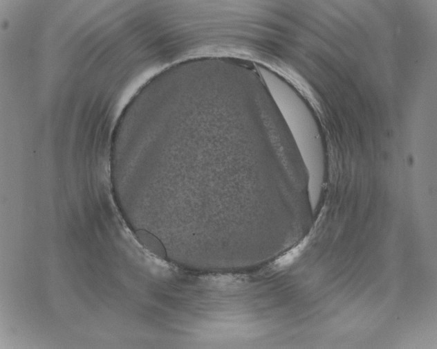 X0000076270896200610122252