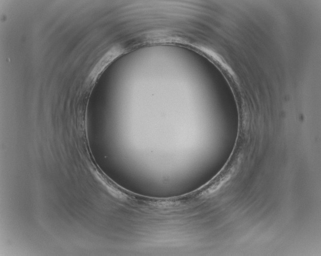 X0000076270897200610122252