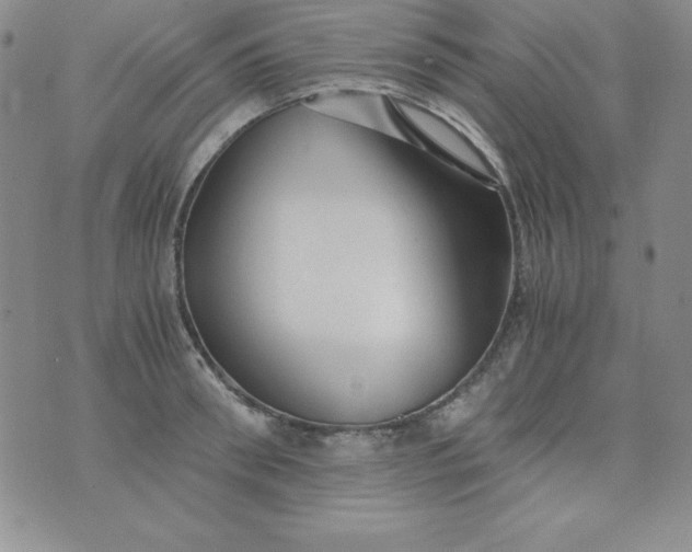 X0000076270898200610122252