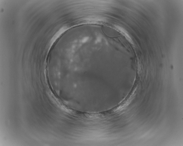 X0000076270899200610122252