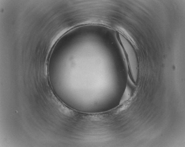 X0000076270900200610122252