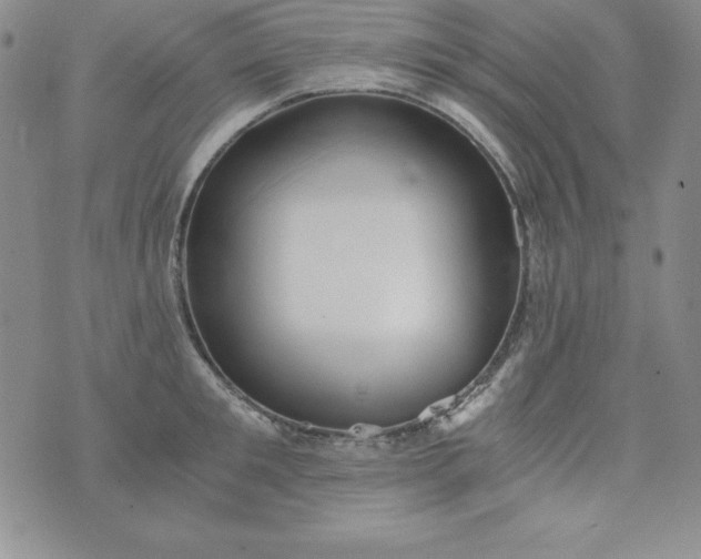 X0000076270901200610122252