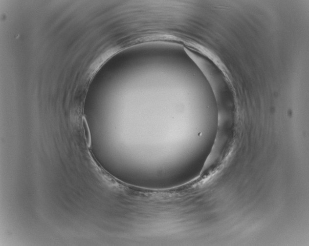 X0000076270905200610122252