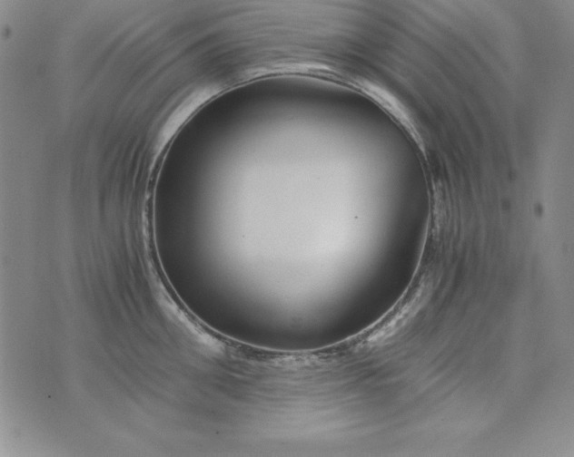 X0000076270906200610122252