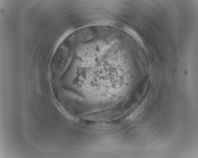 X0000076270907200610122252