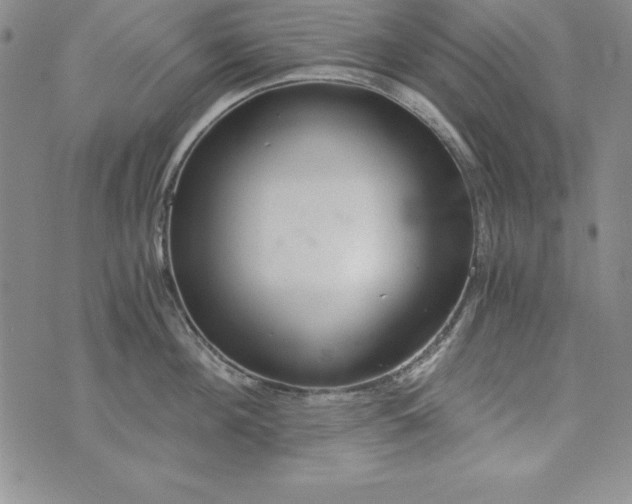 X0000076270908200610122252