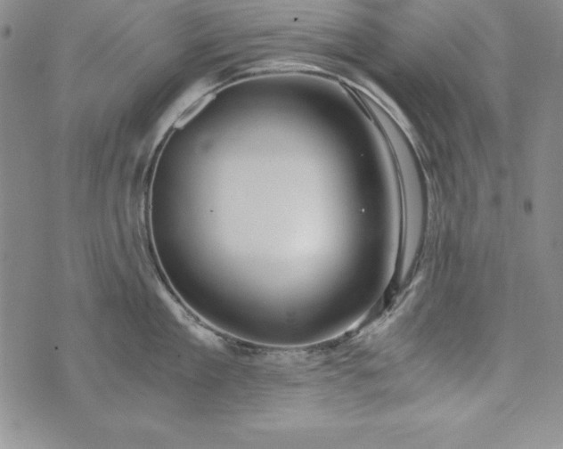 X0000076270909200610122252