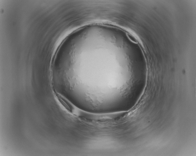 X0000076270911200610122252