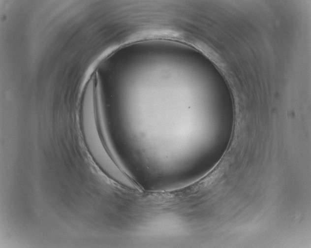 X0000076270912200610122252