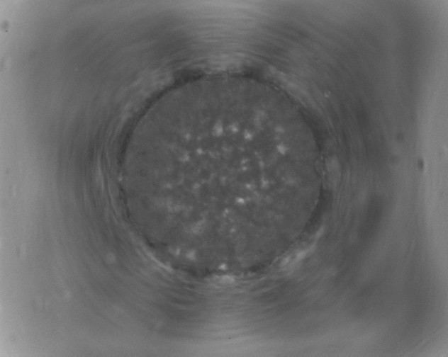 X0000076270913200610122251