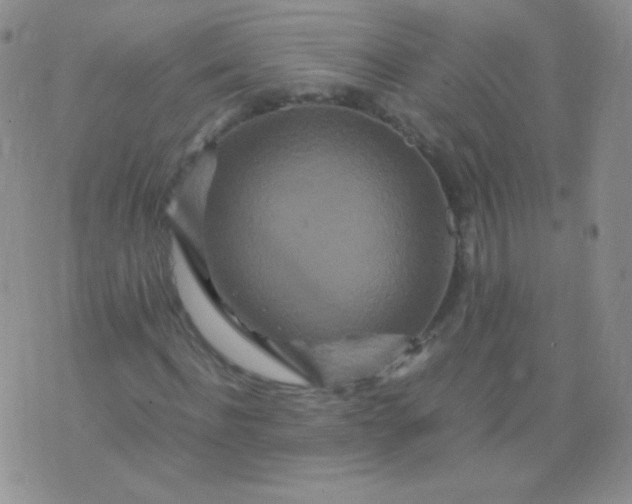 X0000076270916200610122251