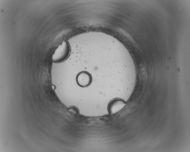 X0000076270918200610122251