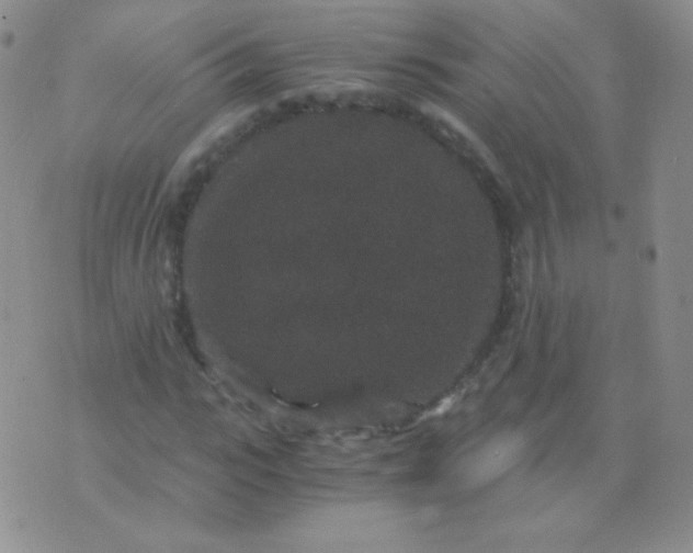 X0000076270919200610122251