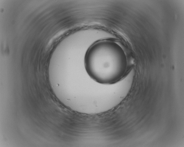 X0000076270920200610122251