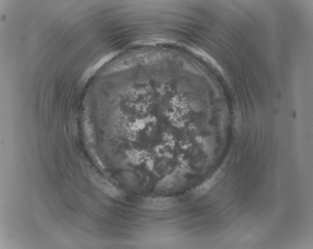 X0000076270921200610122251