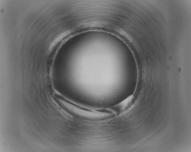 X0000076270922200610122251