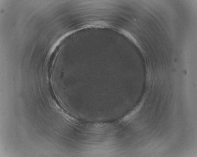 X0000076270923200610122251