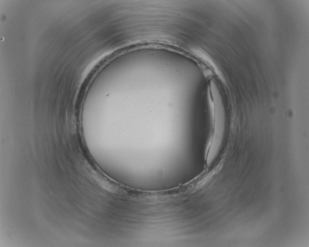 X0000076270924200610122251